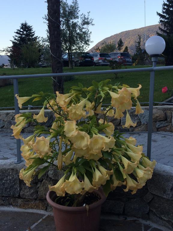 Garni Schneeburghof Hotel Tirolo Luaran gambar